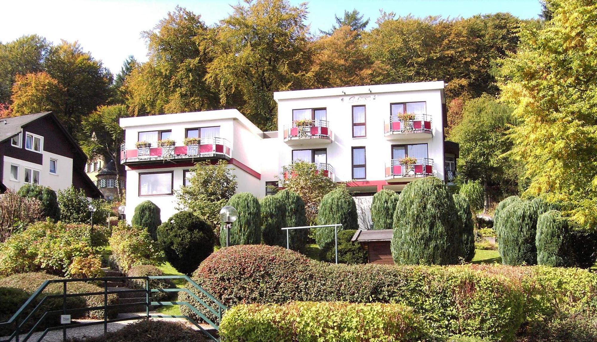 Hotelpension Schroeder Willingen  Exterior photo