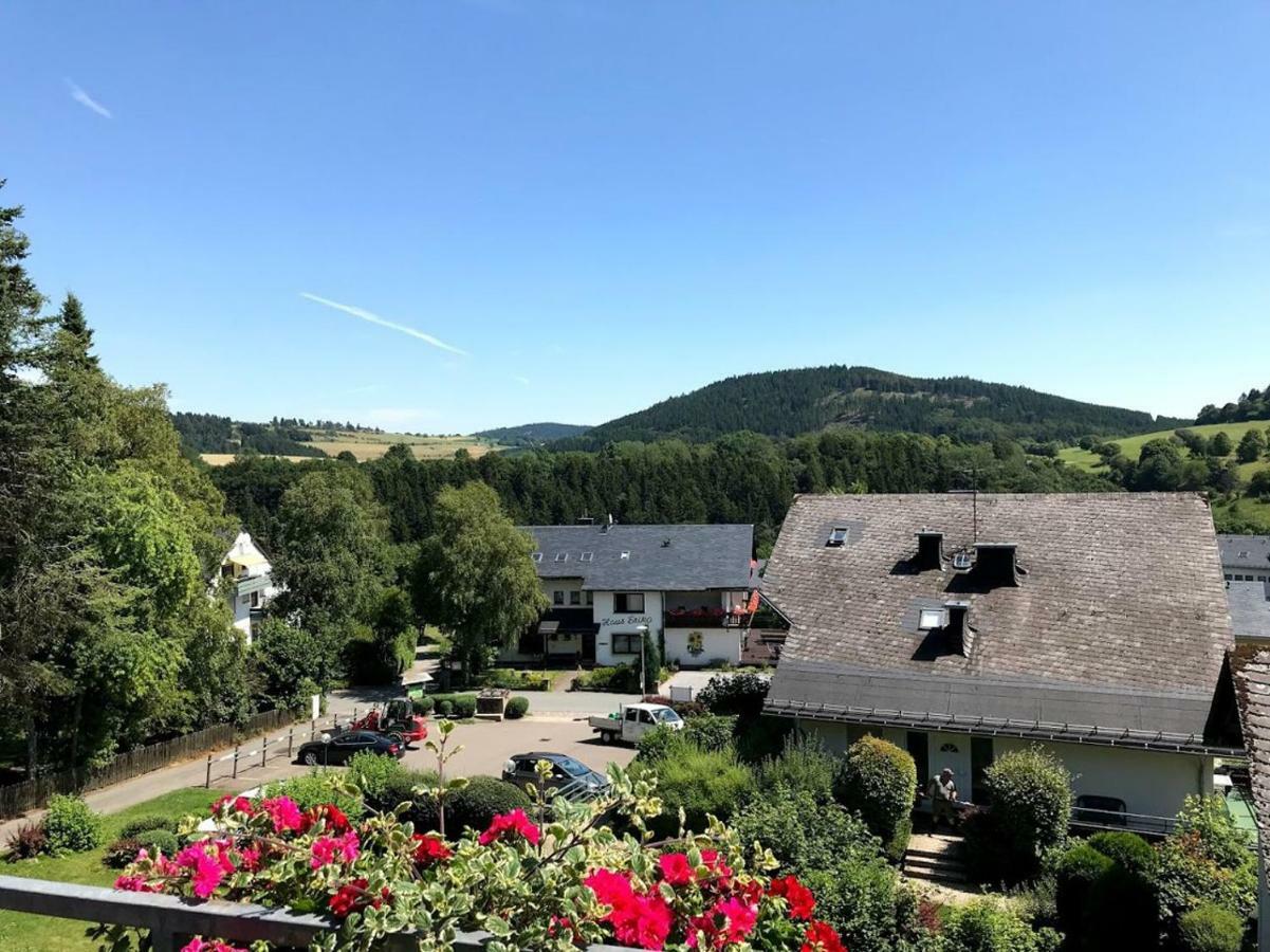 Hotelpension Schroeder Willingen  Exterior photo